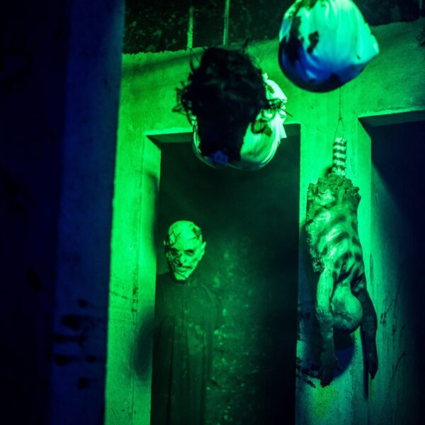 Cavernas del Susto + Escape-Cave (Fase 1 y 2) - Imagen 4