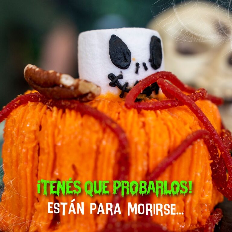 WhatsApp Image 2025-10-25 at 1.58.47 PM (1)