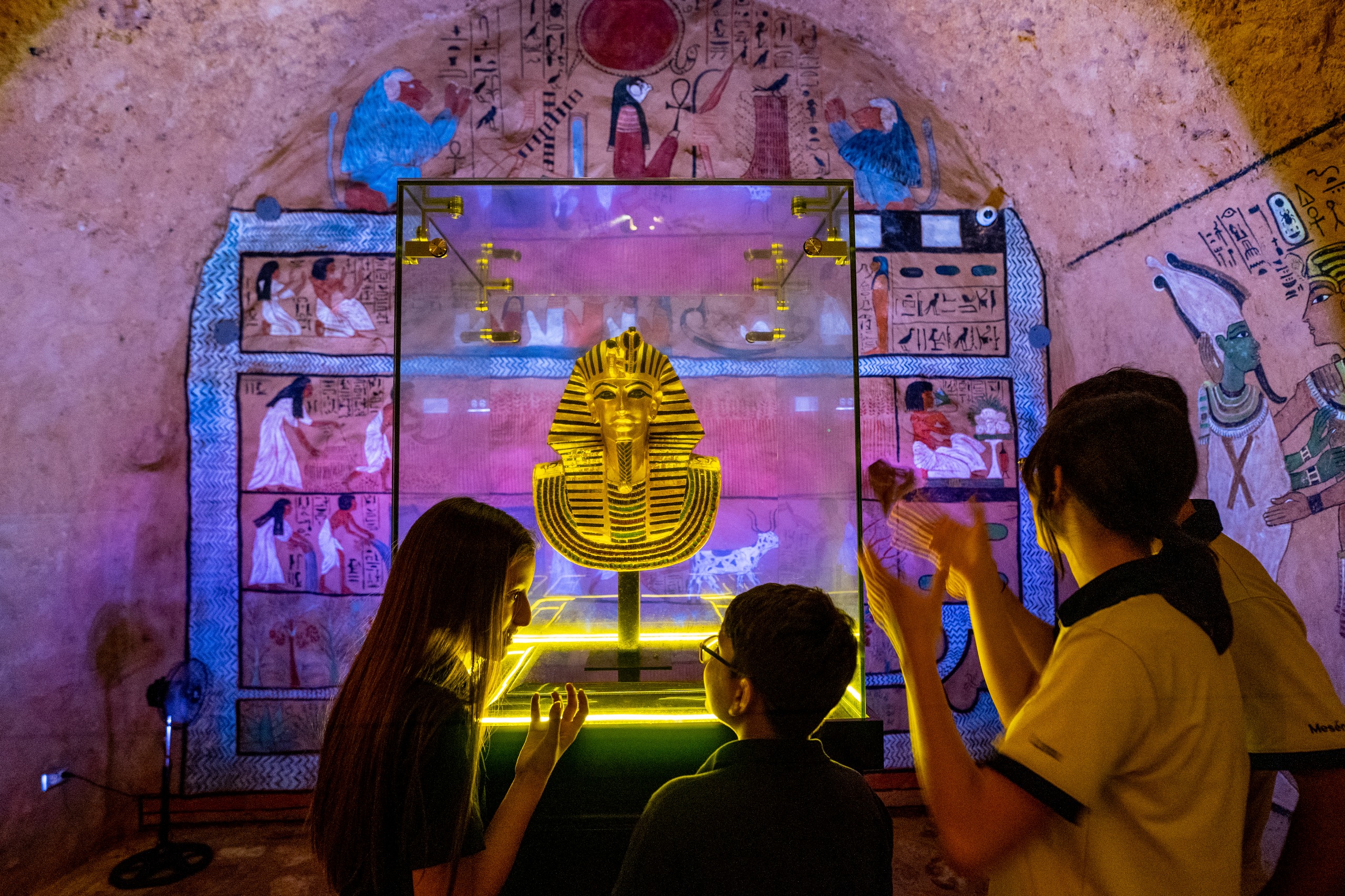 WhatsApp Image 2025 12 16 at 2.16.27 PM