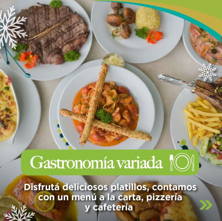 WhatsApp Image 2025-12-19 at 8.33.42 AM (1)