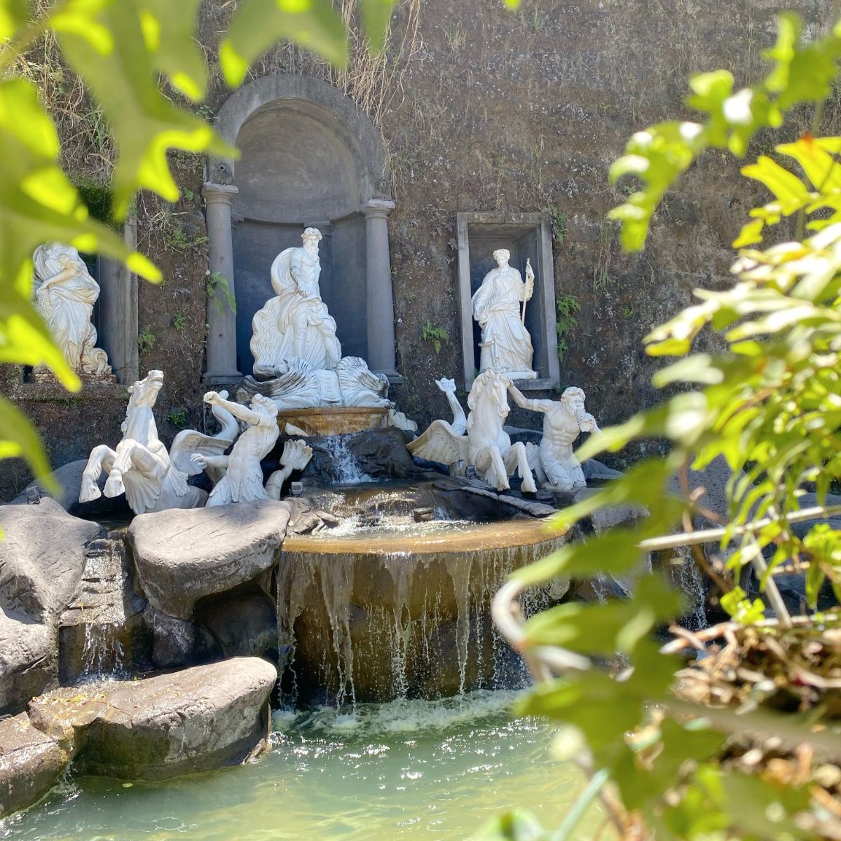 WhatsApp Image 2025-12-29 at 10.19.53 AM