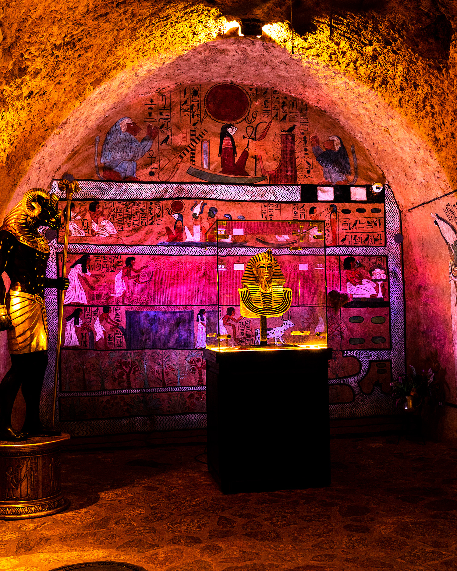 Paquete Tour + Alimentación - Imagen 4